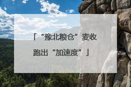 “豫北粮仓”麦收跑出“加速度”
