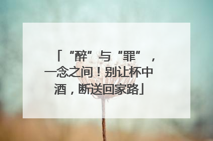 “醉”与“罪”，一念之间！别让杯中酒，断送回家路