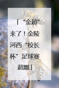“金超”来了！金陵河西“校长杯”足球赛超燃