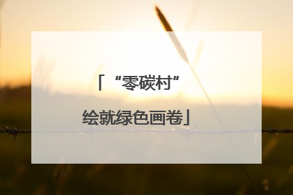 “零碳村” 绘就绿色画卷