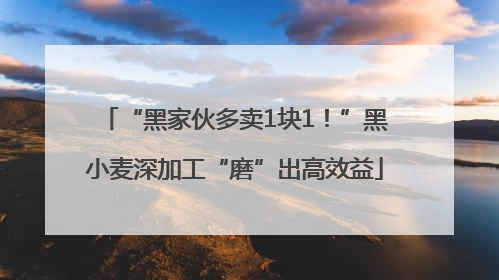 “黑家伙多卖1块1！”黑小麦深加工“磨”出高效益