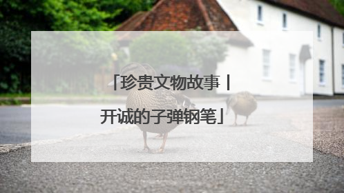 珍贵文物故事丨开诚的子弹钢笔