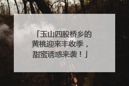 玉山四股桥乡的黄桃迎来丰收季，甜蜜诱惑来袭！