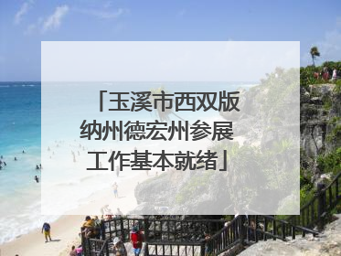 玉溪市西双版纳州德宏州参展工作基本就绪