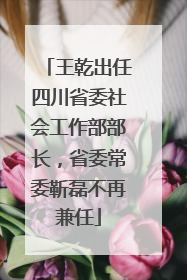 王乾出任四川省委社会工作部部长，省委常委靳磊不再兼任