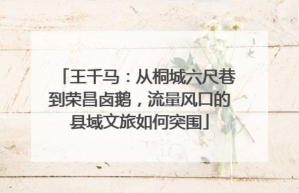 王千马：从桐城六尺巷到荣昌卤鹅，流量风口的县域文旅如何突围