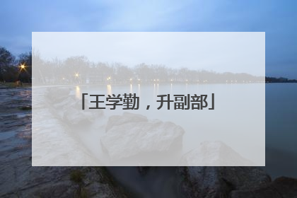 王学勤，升副部