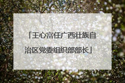 王心富任广西壮族自治区党委组织部部长
