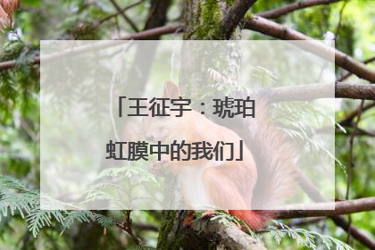 王征宇：琥珀虹膜中的我们