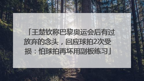 王楚钦称巴黎奥运会后有过放弃的念头，回应球拍2次受损：怕球拍再坏用副板练习