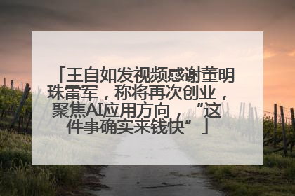 王自如发视频感谢董明珠雷军，称将再次创业，聚焦AI应用方向，“这件事确实来钱快”