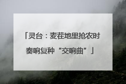 灵台：麦茬地里抢农时 奏响复种“交响曲”