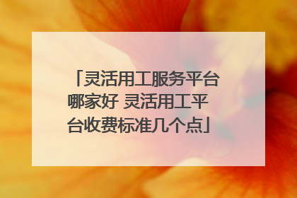 灵活用工服务平台哪家好 灵活用工平台收费标准几个点