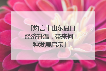 灼言丨山东夏日经济升温，带来何种发展启示