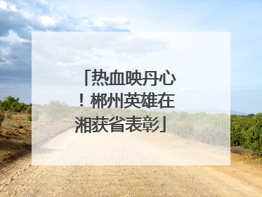热血映丹心！郴州英雄在湘获省表彰