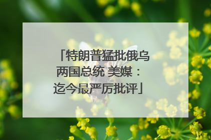 特朗普猛批俄乌两国总统 美媒：迄今最严厉批评