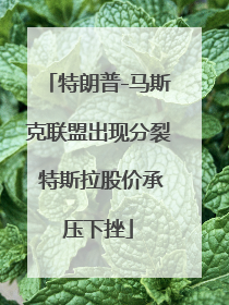 特朗普-马斯克联盟出现分裂 特斯拉股价承压下挫