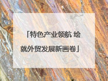 特色产业领航 绘就外贸发展新画卷