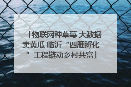物联网种草莓 大数据卖黄瓜 临沂“四雁孵化”工程链动乡村共富