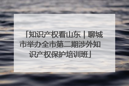 知识产权看山东｜聊城市举办全市第二期涉外知识产权保护培训班