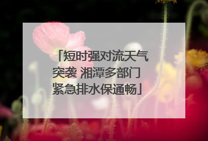 短时强对流天气突袭 湘潭多部门紧急排水保通畅