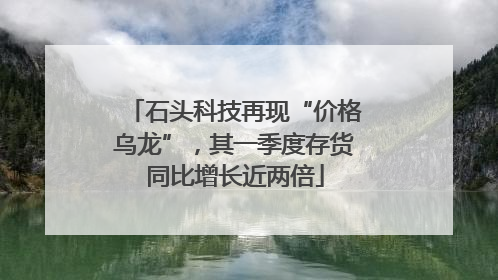 石头科技再现“价格乌龙”，其一季度存货同比增长近两倍