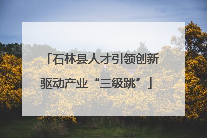 石林县人才引领创新驱动产业“三级跳”