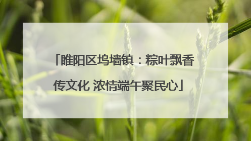 睢阳区坞墙镇：粽叶飘香传文化 浓情端午聚民心