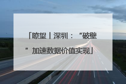 瞭望丨深圳：“破壁”加速数据价值实现