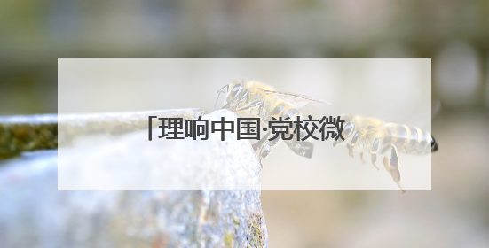 理响中国·党校微讲堂（第二季）第一讲：进一步全面深化改革为什么要聚焦推进中国式现代化