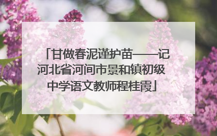 甘做春泥谨护苗——记河北省河间市景和镇初级中学语文教师程桂霞