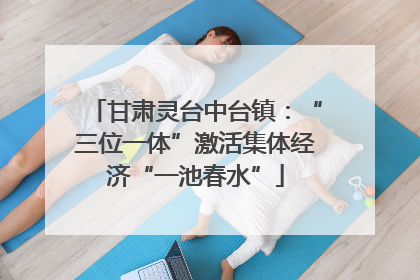 甘肃灵台中台镇：“三位一体”激活集体经济“一池春水”