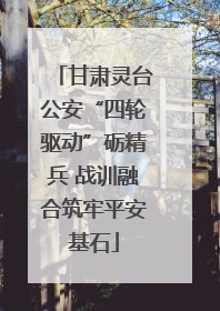甘肃灵台公安“四轮驱动”砺精兵 战训融合筑牢平安基石
