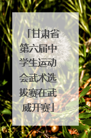 甘肃省第六届中学生运动会武术选拔赛在武威开赛