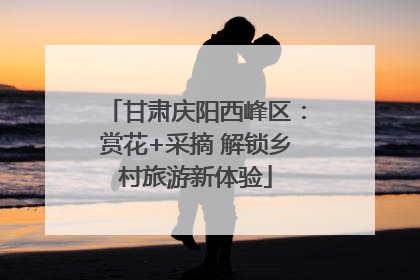 甘肃庆阳西峰区：赏花+采摘 解锁乡村旅游新体验