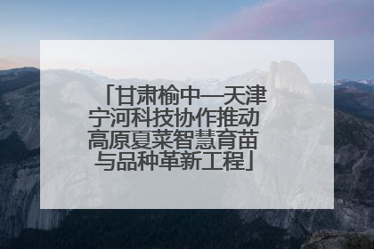 甘肃榆中—天津宁河科技协作推动高原夏菜智慧育苗与品种革新工程
