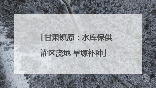 甘肃镇原：水库保供 灌区浇地 旱塬补种