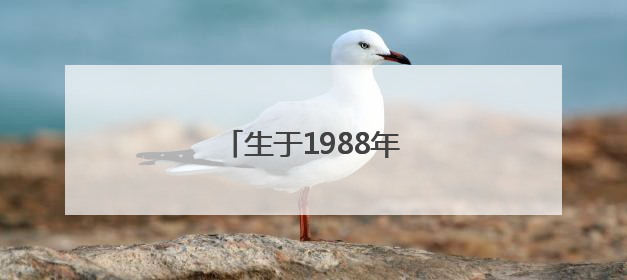 生于1988年，马丽拟获提拔