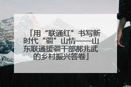 用“联通红”书写新时代“疆”山情——山东联通援疆干部郝兆武的乡村振兴答卷