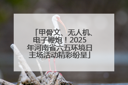 甲骨文、无人机、电子鞭炮！2025年河南省六五环境日主场活动精彩纷呈