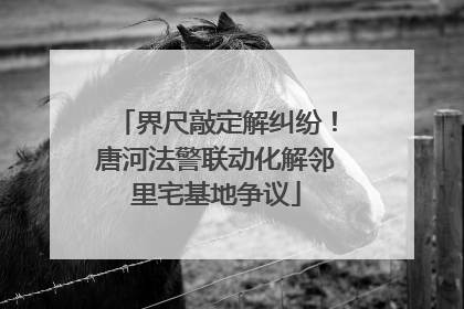 界尺敲定解纠纷！唐河法警联动化解邻里宅基地争议