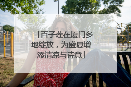 百子莲在厦门多地绽放，为盛夏增添清凉与诗意