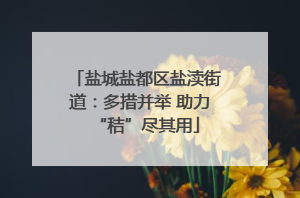 盐城盐都区盐渎街道：多措并举 助力“秸”尽其用