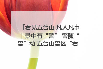 看见五台山 凡人凡事｜景中有“警” 警随“景”动 五台山景区“看得见”的平安守护