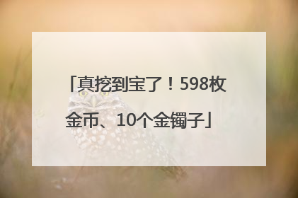 真挖到宝了！598枚金币、10个金镯子