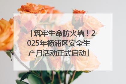 筑牢生命防火墙！2025年杨浦区安全生产月活动正式启动