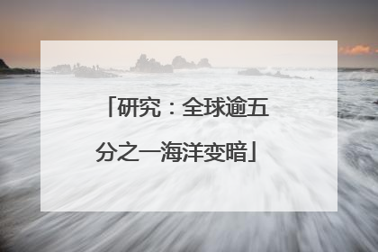 研究：全球逾五分之一海洋变暗