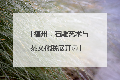 福州：石雕艺术与茶文化联展开幕