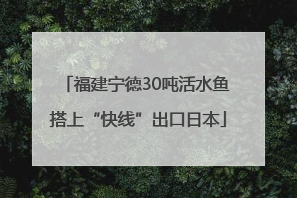 福建宁德30吨活水鱼搭上“快线”出口日本