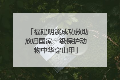 福建明溪成功救助放归国家一级保护动物中华穿山甲